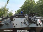 Pandur_San_Belg_0