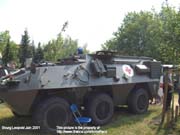 Pandur_San_Belg_05