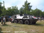 Pandur_San_Belg_09
