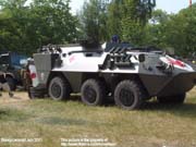 Pandur_San_Belg_11