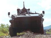 Valuk_01