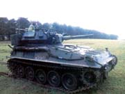 Scorpion_Ireland