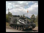Sultan_Belg_0