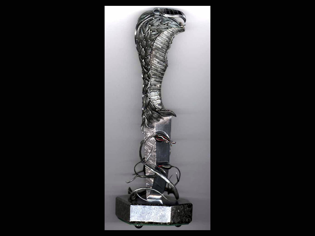 gamaun_large