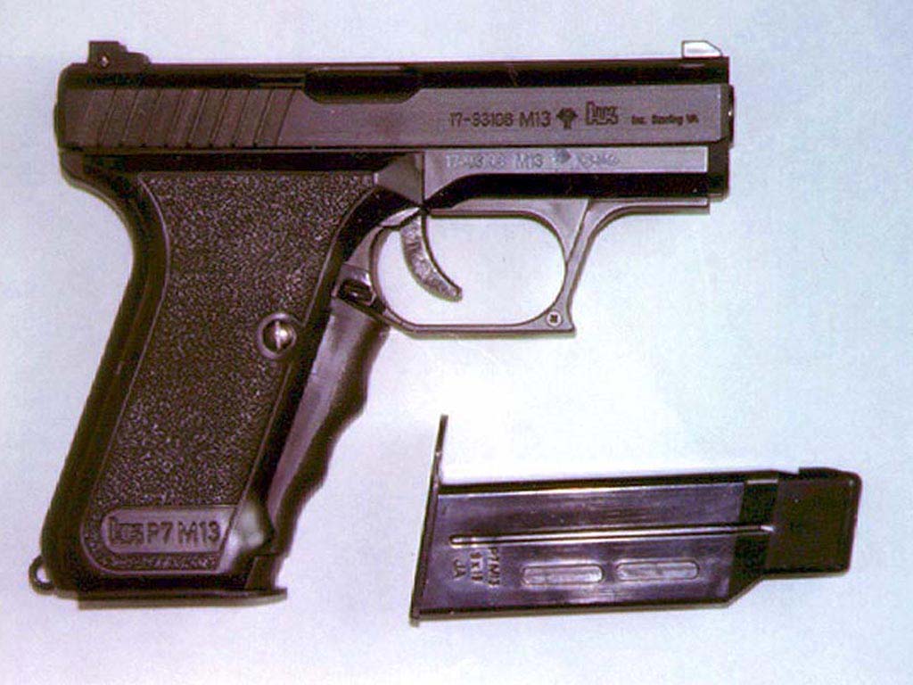 PISTOL31